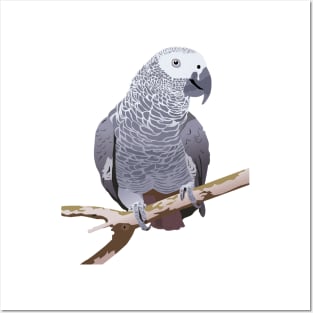 African Grey Parrot Posters and Art